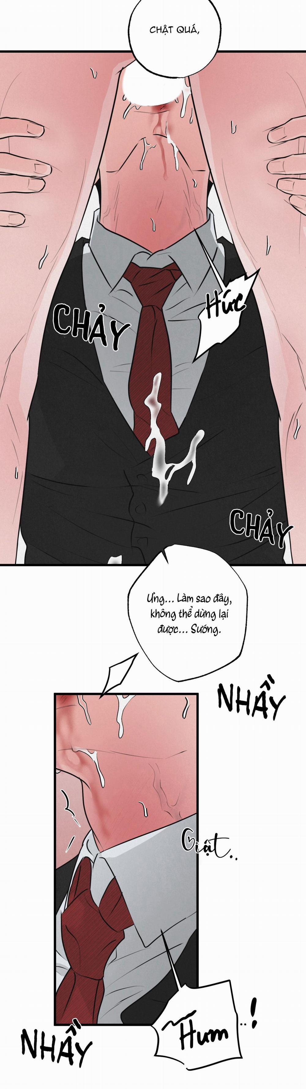 Golden Pair 14 trang 29