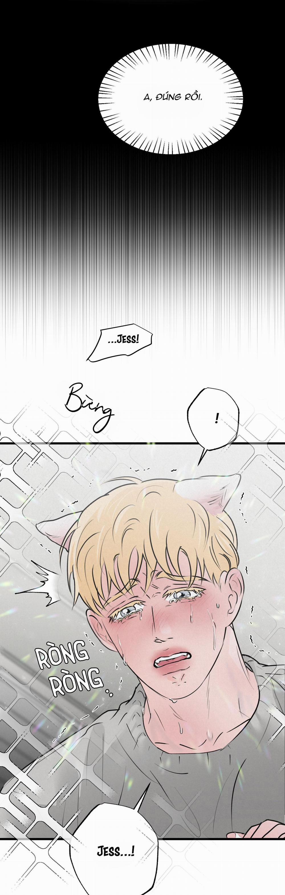 Golden Pair 15 trang 2