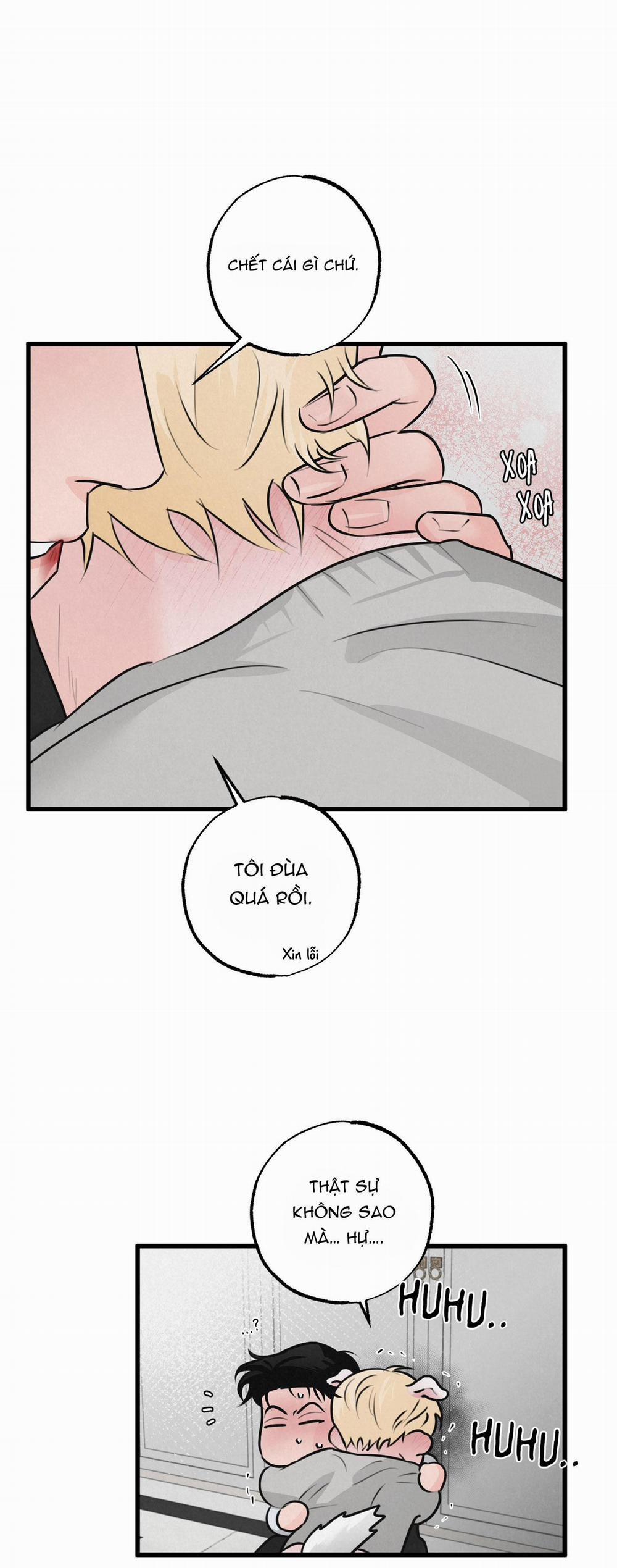 Golden Pair 15 trang 6