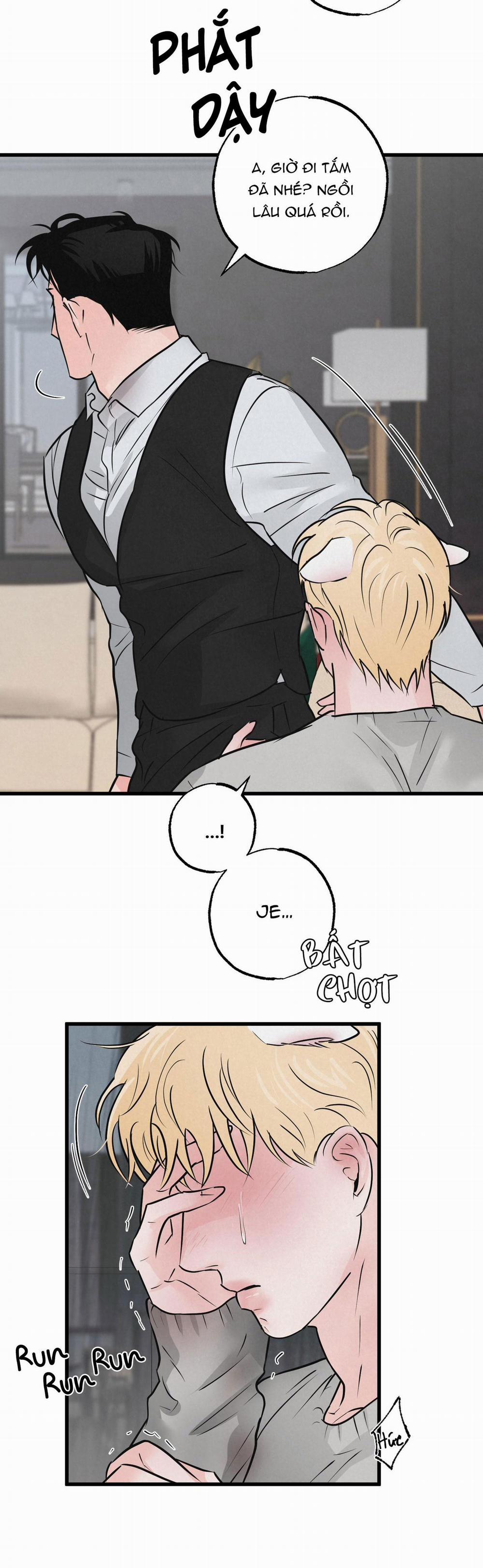 Golden Pair 16 trang 13