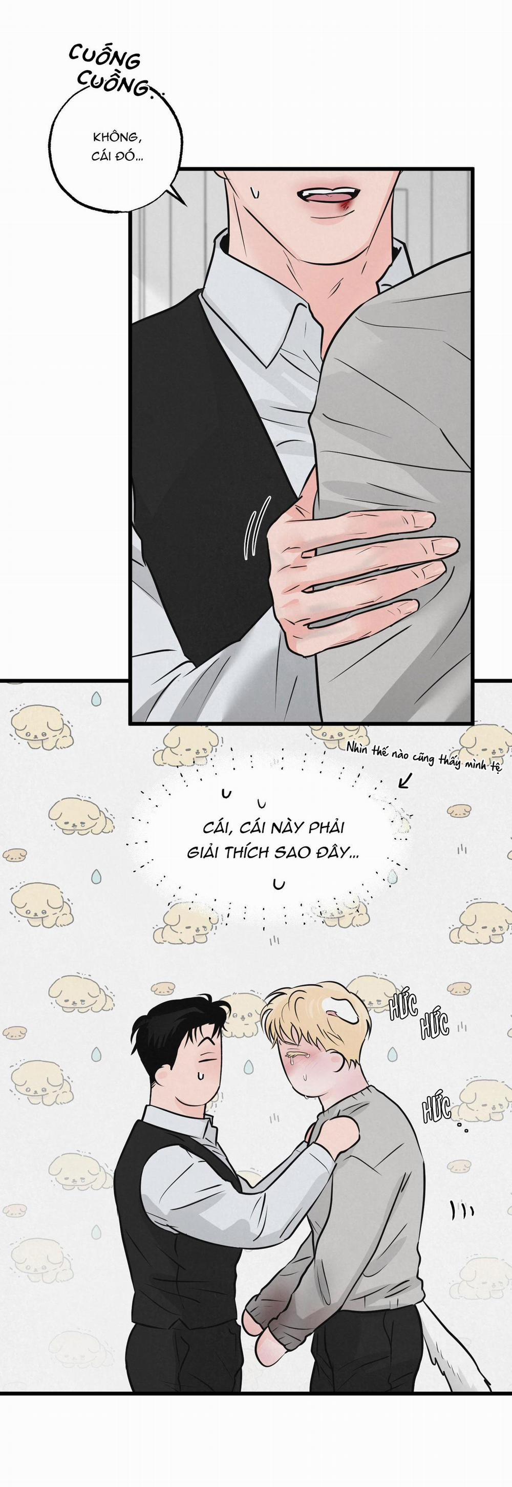 Golden Pair 16 trang 19