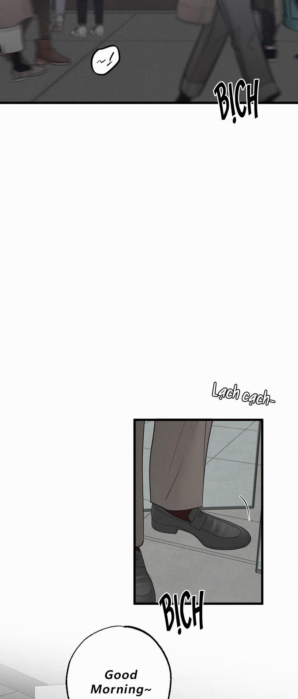 Golden Pair 17 trang 2