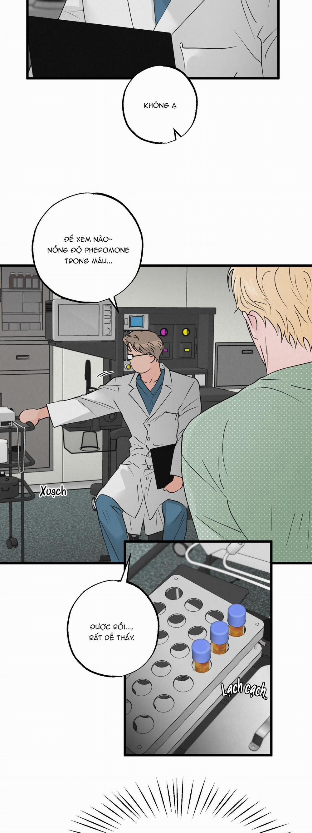 Golden Pair 17 trang 24