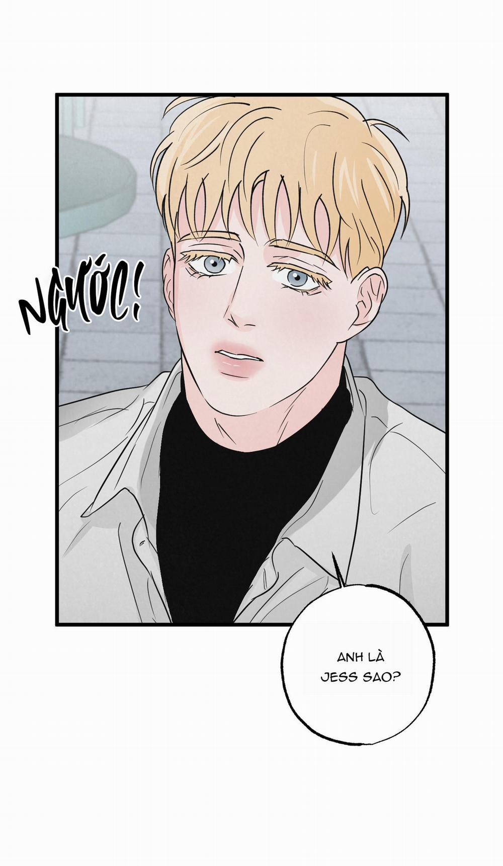 Golden Pair 2 trang 45