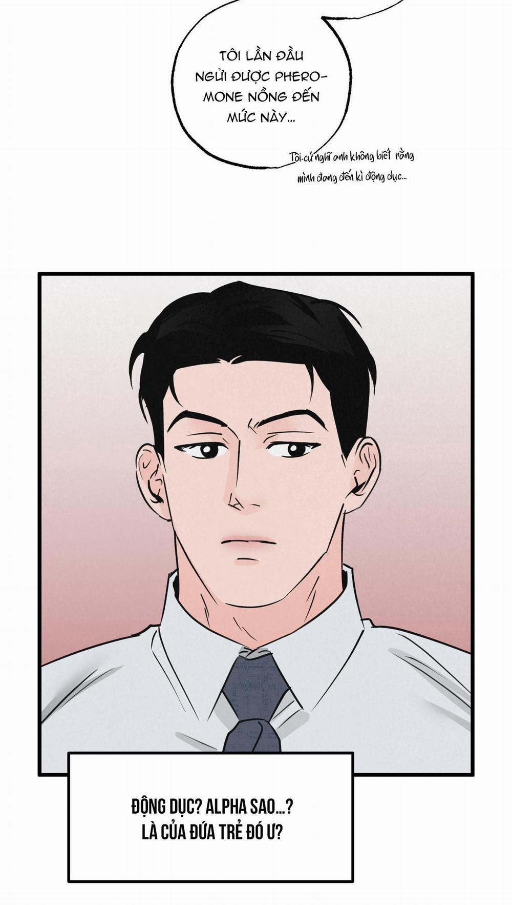 Golden Pair 4 trang 61