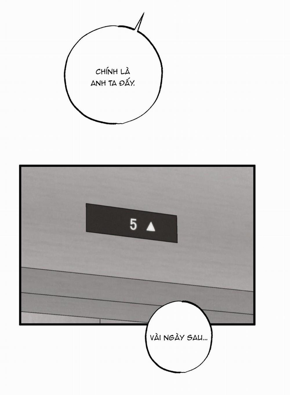 Golden Pair 5 trang 13