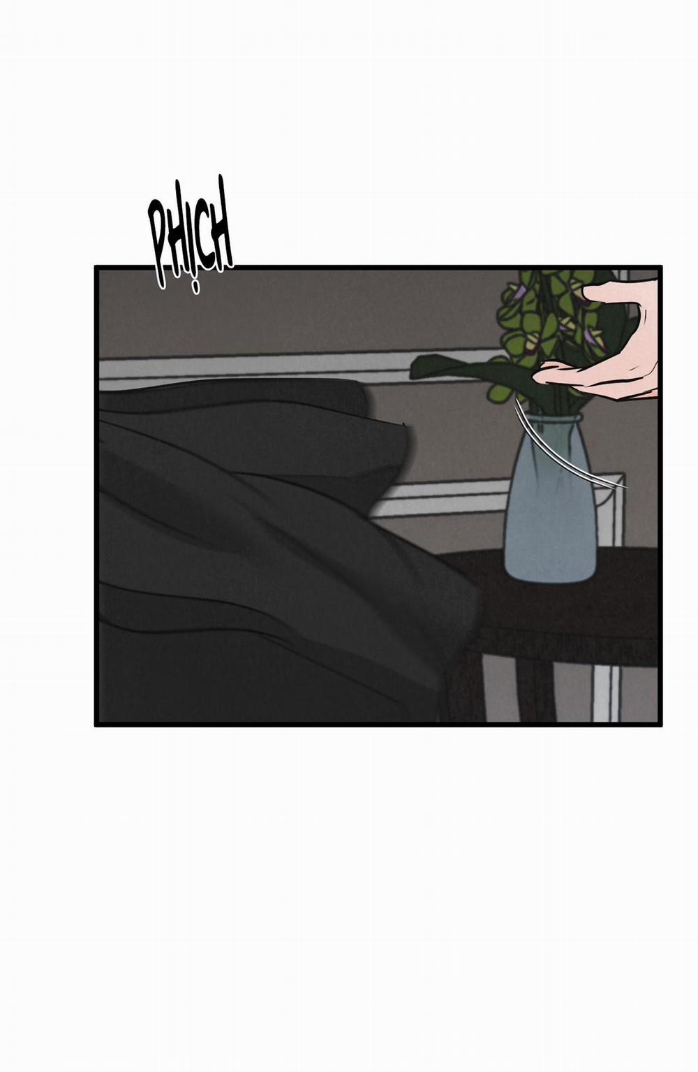 Golden Pair 5 trang 23