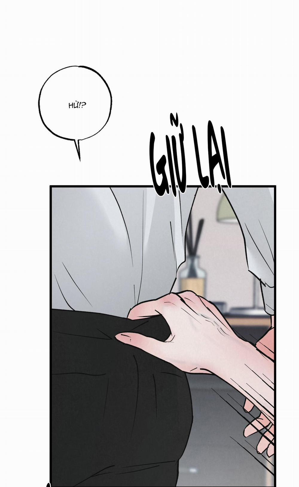 Golden Pair 5 trang 41