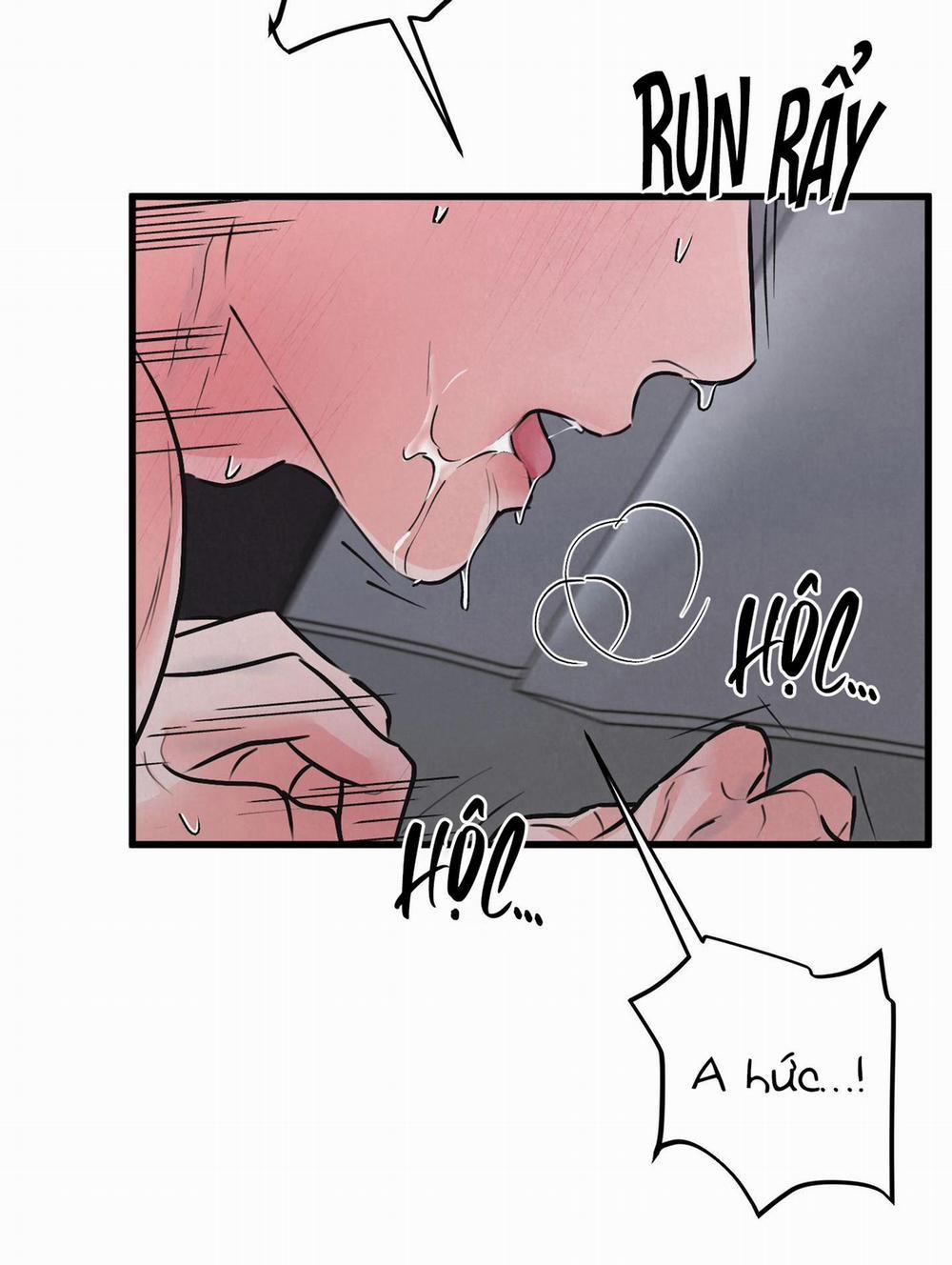 Golden Pair 6 trang 13