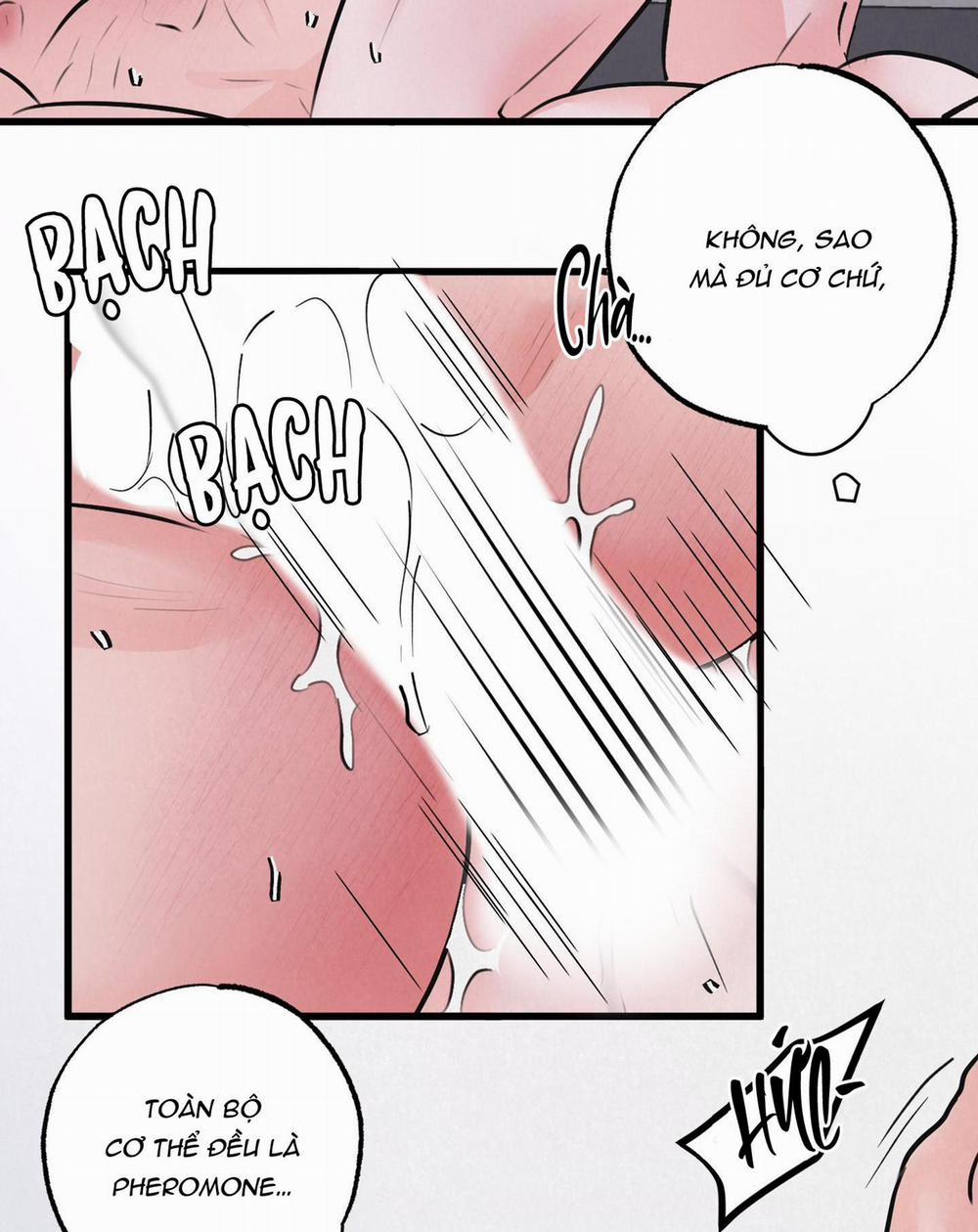 Golden Pair 6 trang 20