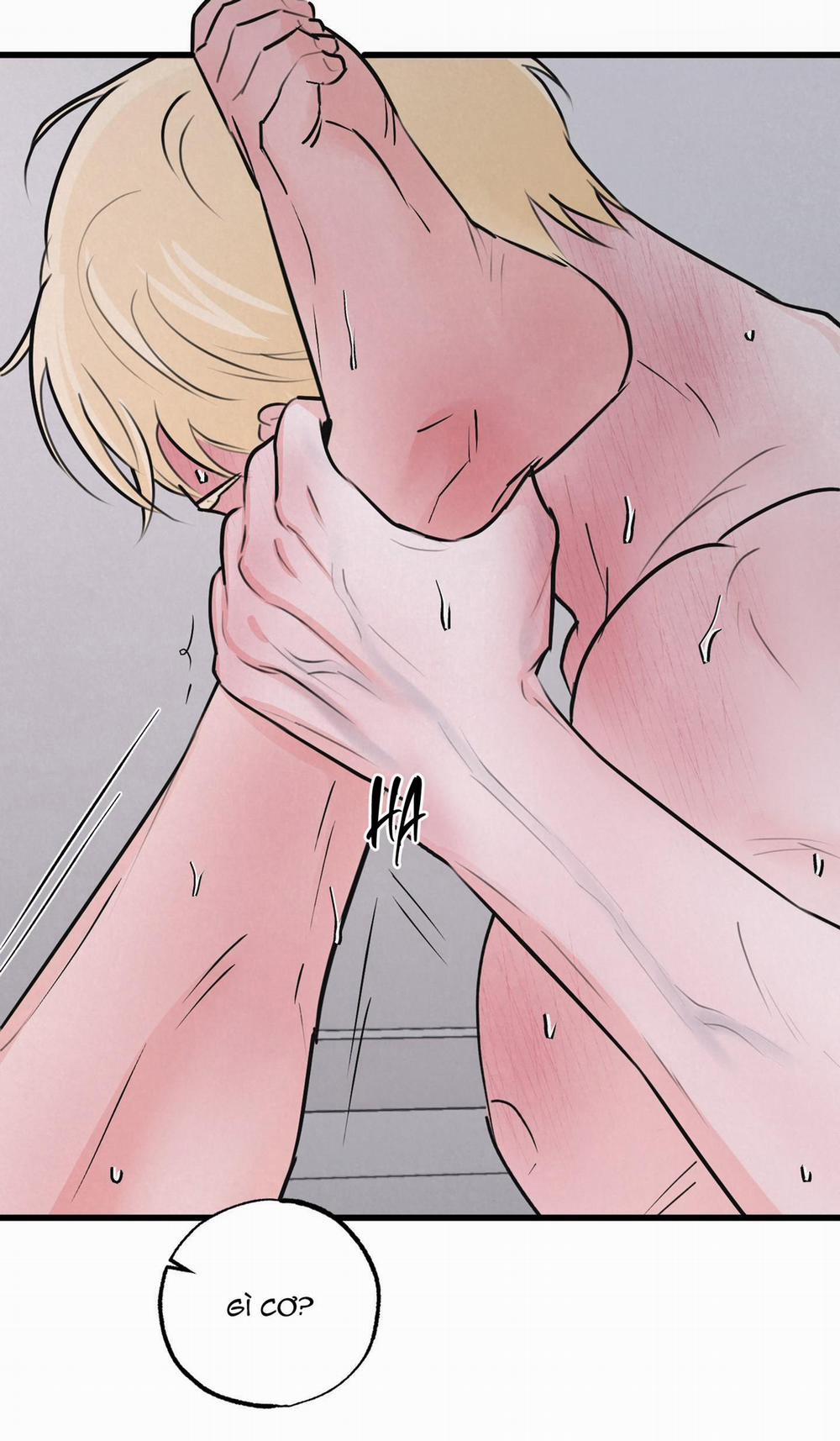 Golden Pair 6 trang 24