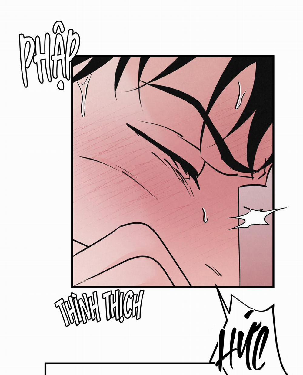 Golden Pair 6 trang 29