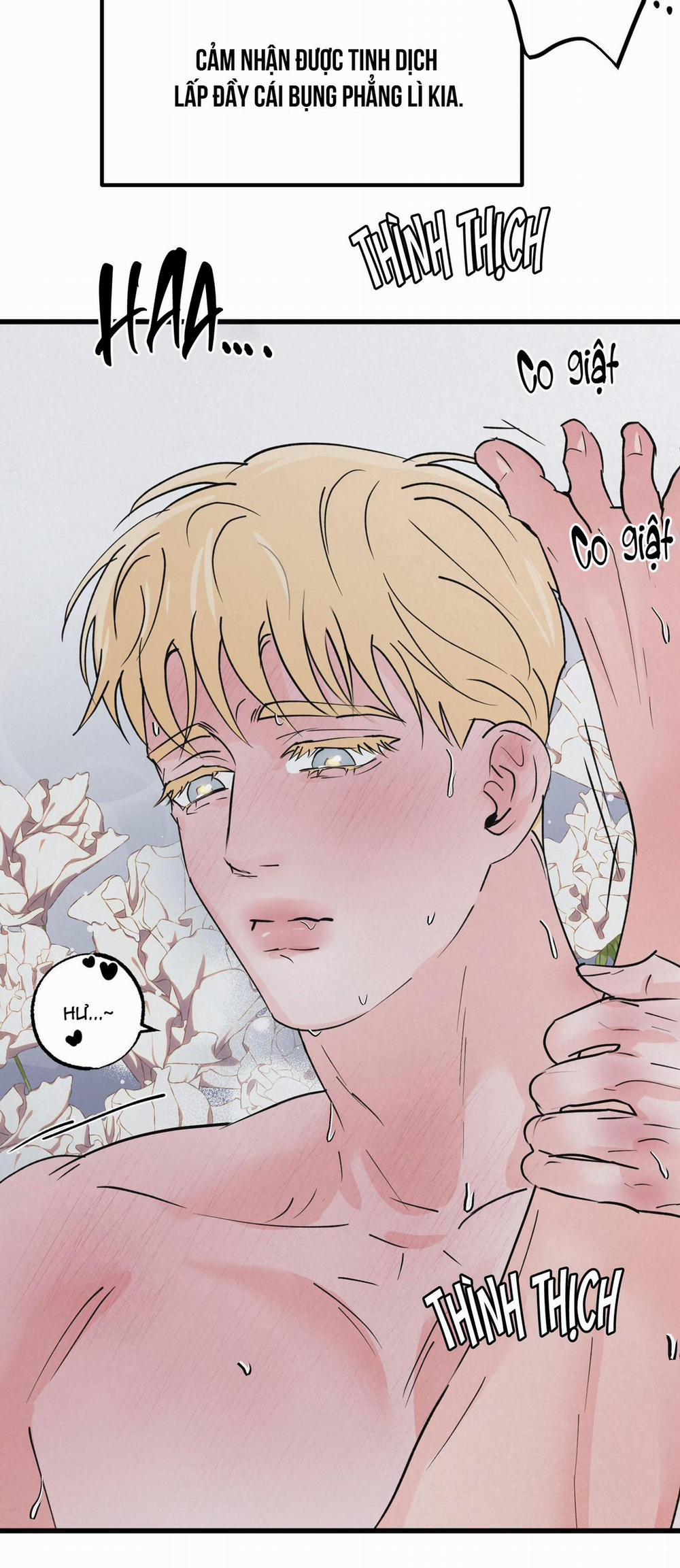 Golden Pair 6 trang 30