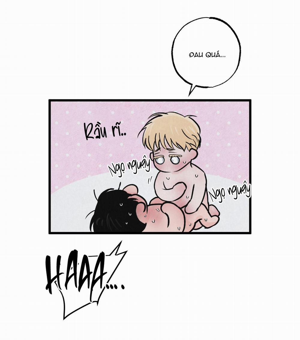 Golden Pair 6 trang 39