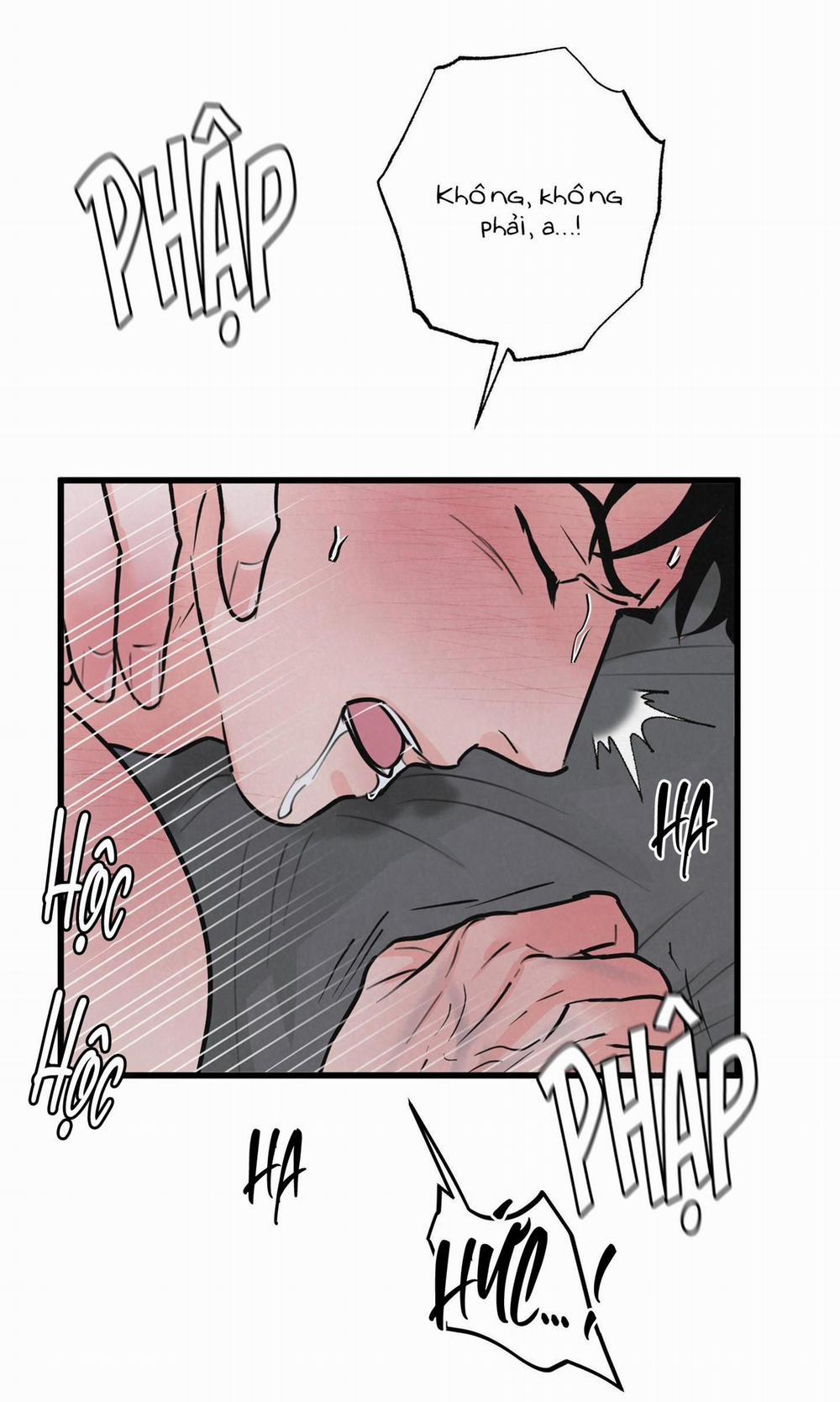 Golden Pair 6 trang 47