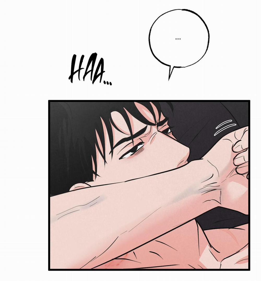 Golden Pair 7 trang 3