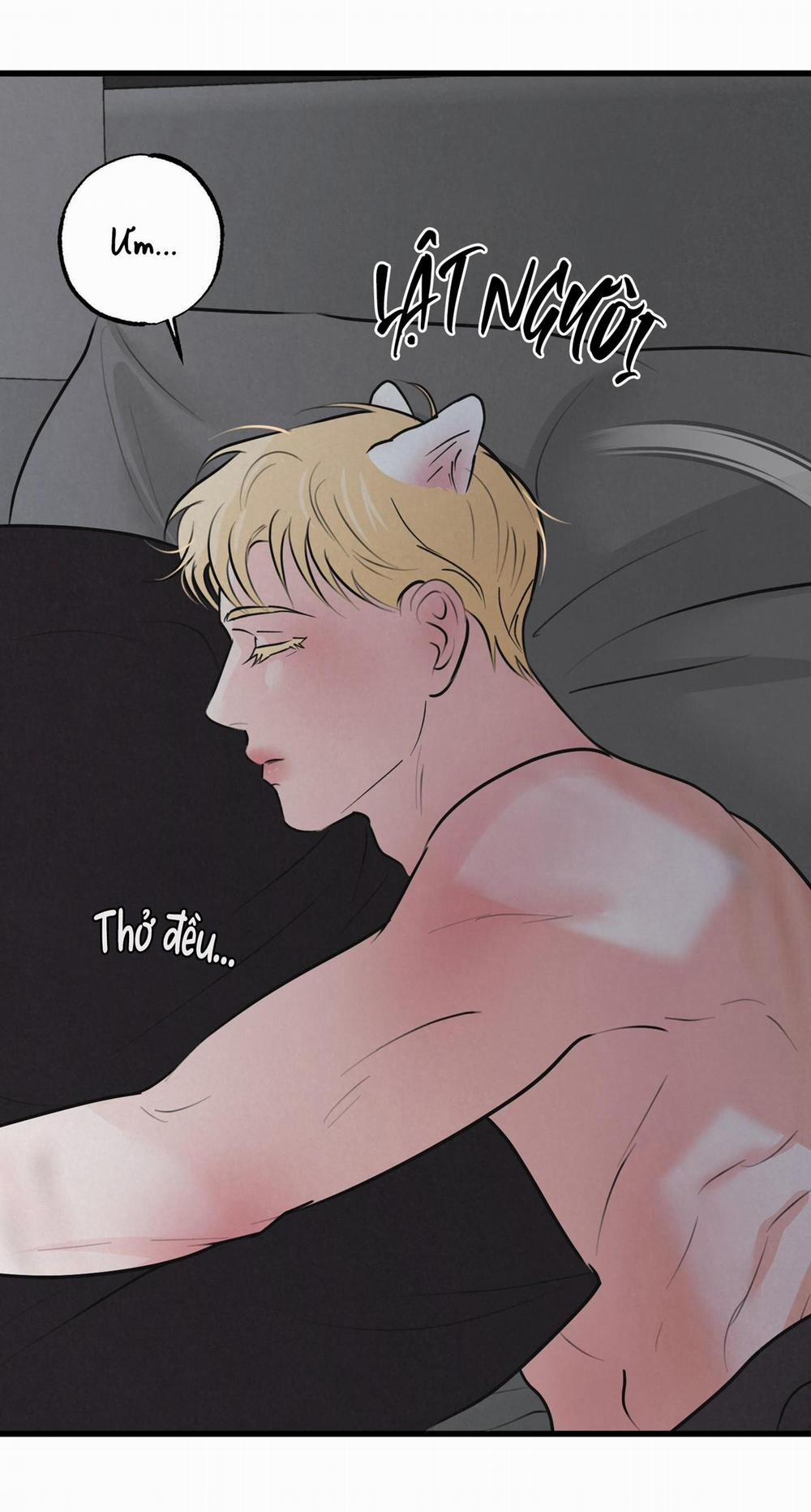 Golden Pair 8 trang 1