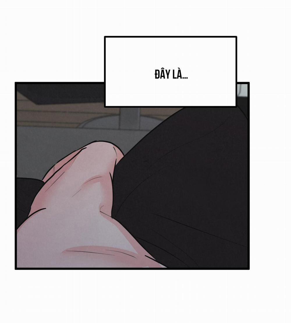 Golden Pair 8 trang 3