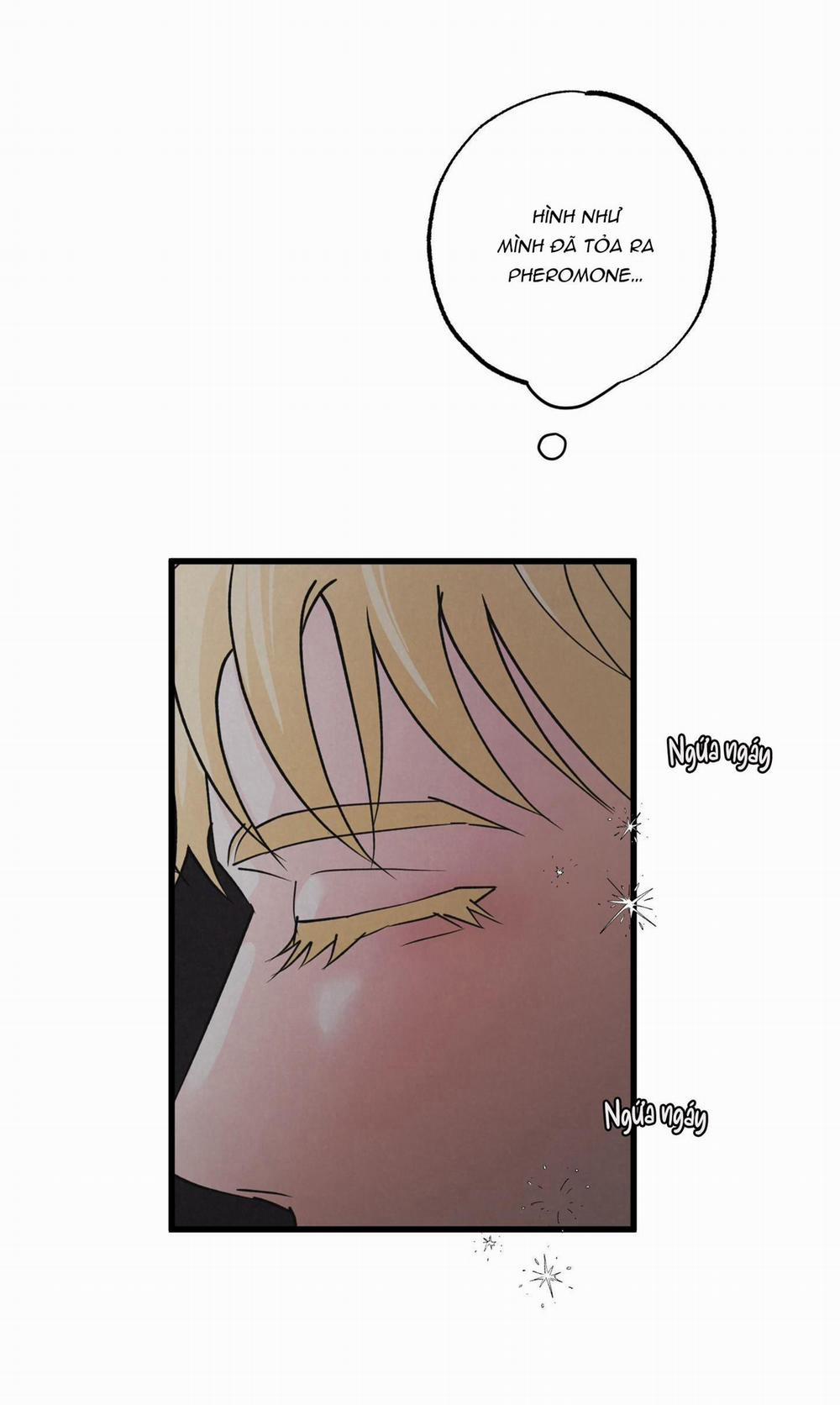 Golden Pair 8 trang 4