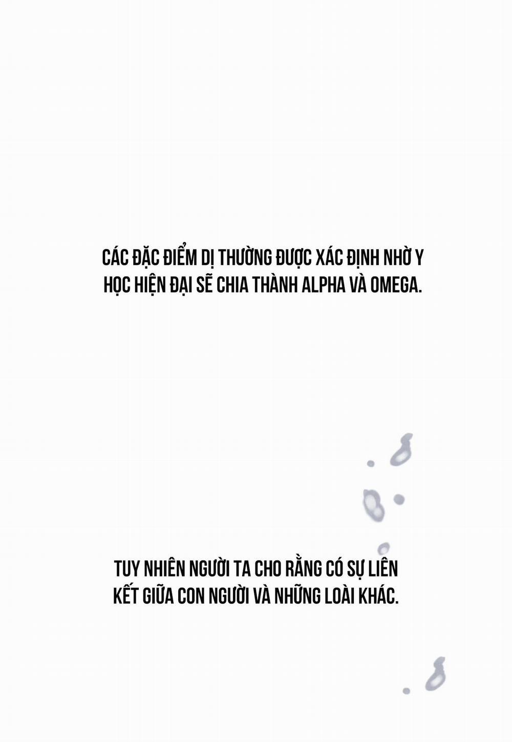 Golden Pair 8 trang 40