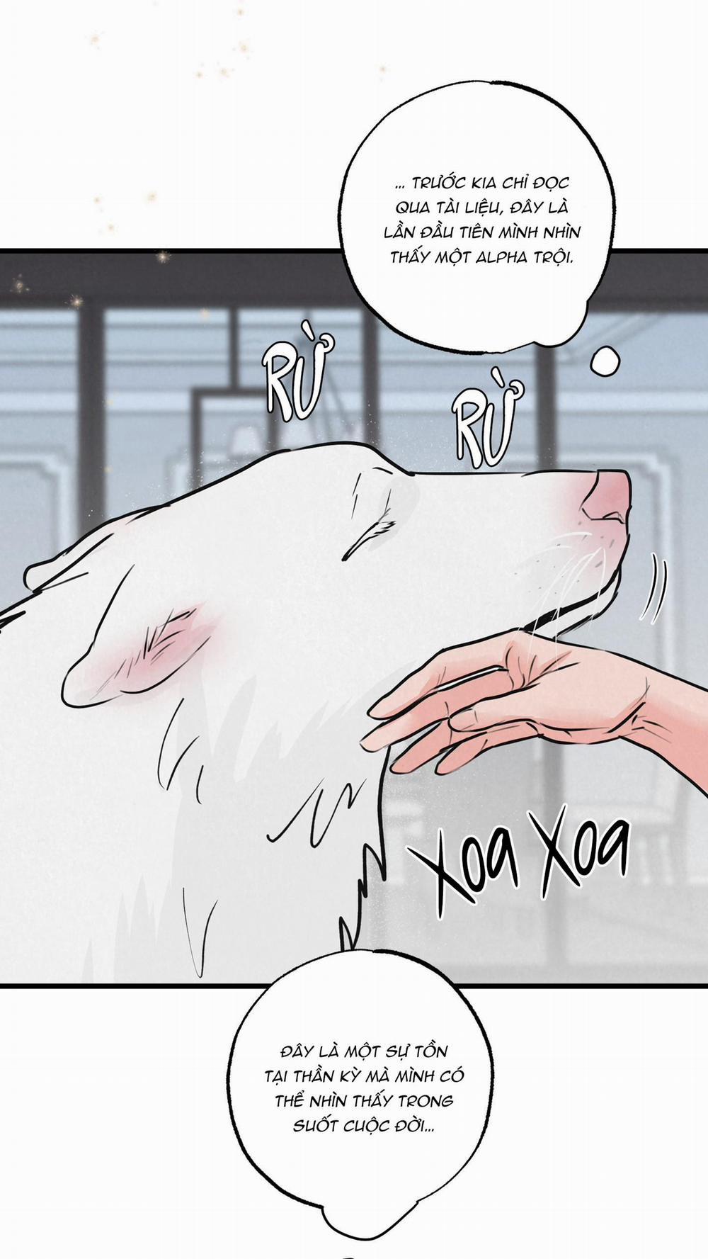 Golden Pair 8 trang 46