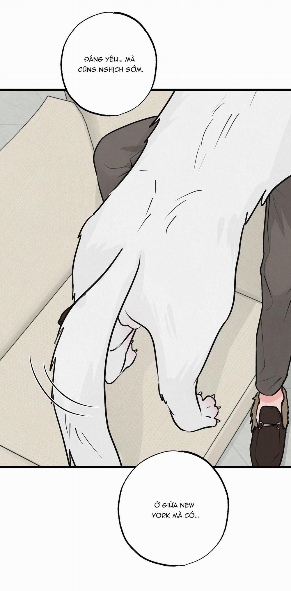 Golden Pair 8 trang 51