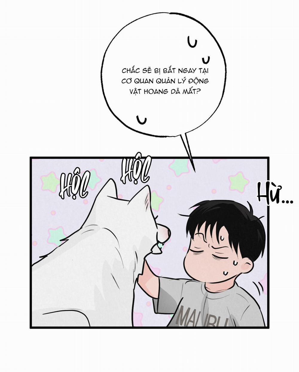 Golden Pair 8 trang 53