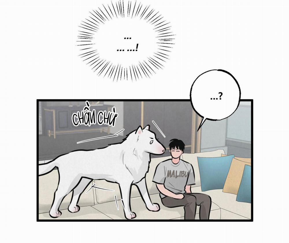 Golden Pair 8 trang 55