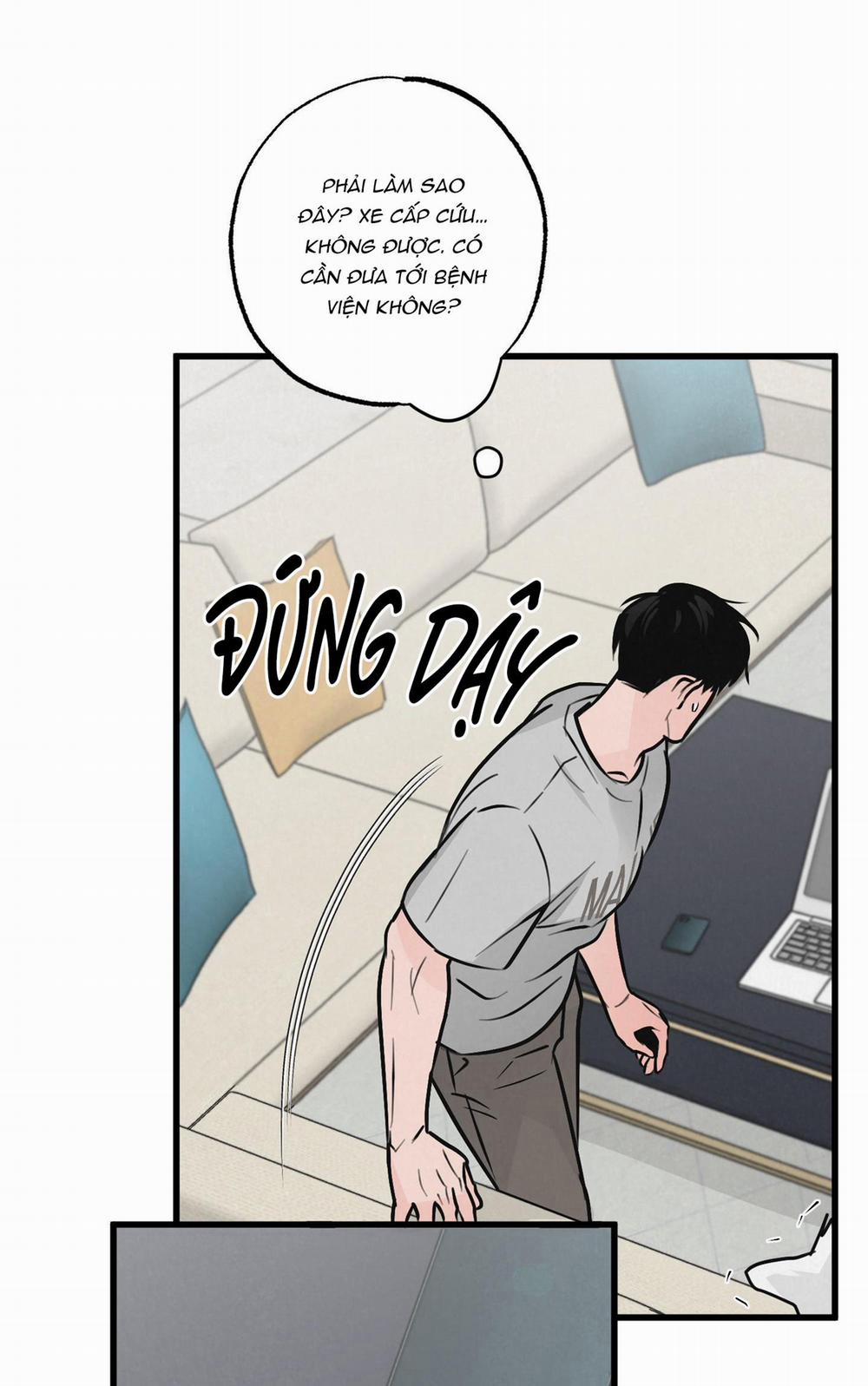 Golden Pair 8 trang 63