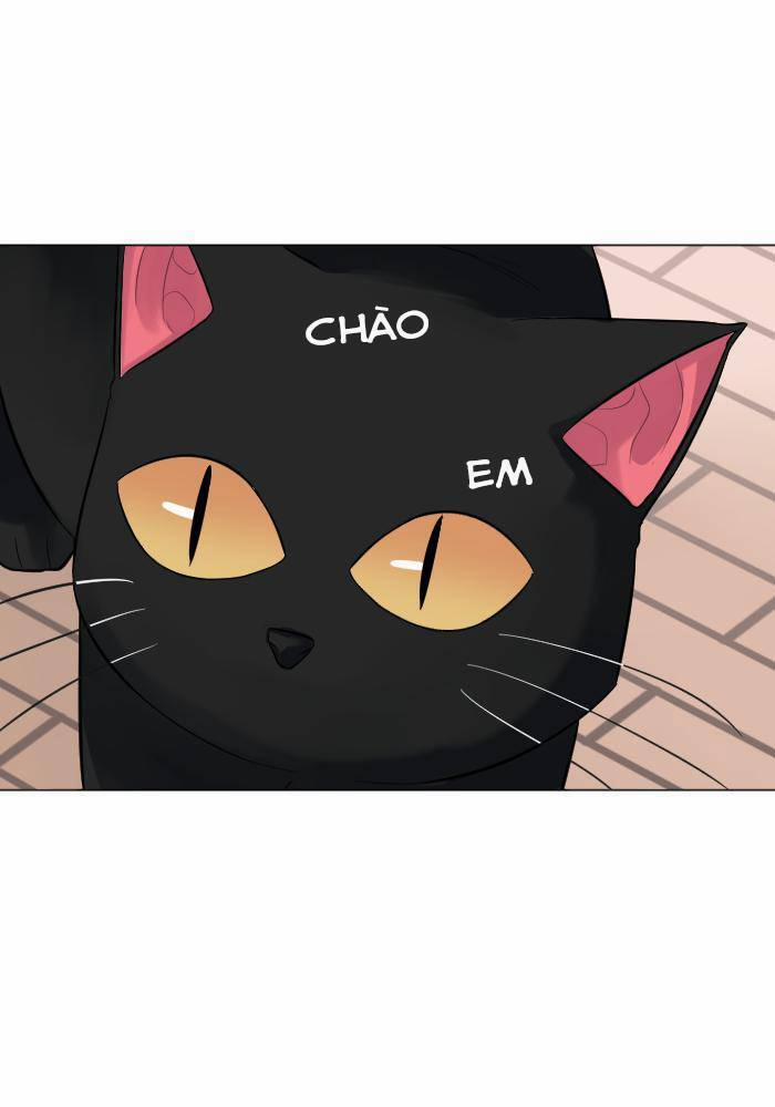 Good/bad Fortune 6 trang 43