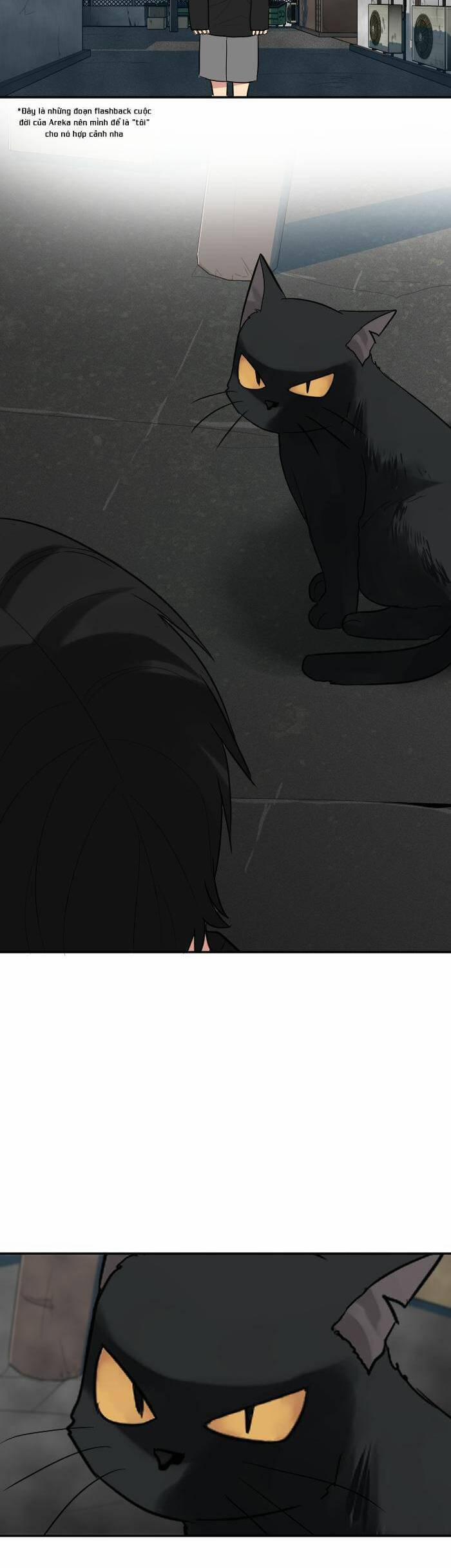 Good/bad Fortune 76 trang 10