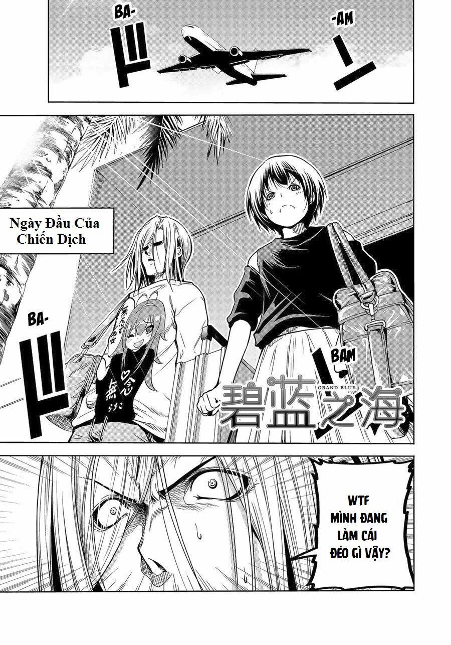 Grand Blue – Cô Gái Thích Lặn 64 trang 0
