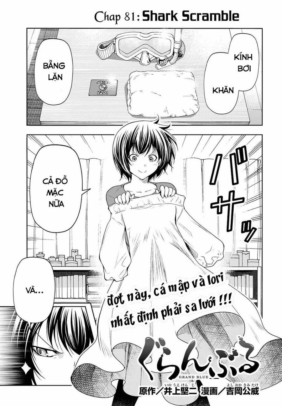 Grand Blue – Cô Gái Thích Lặn 81 trang 0