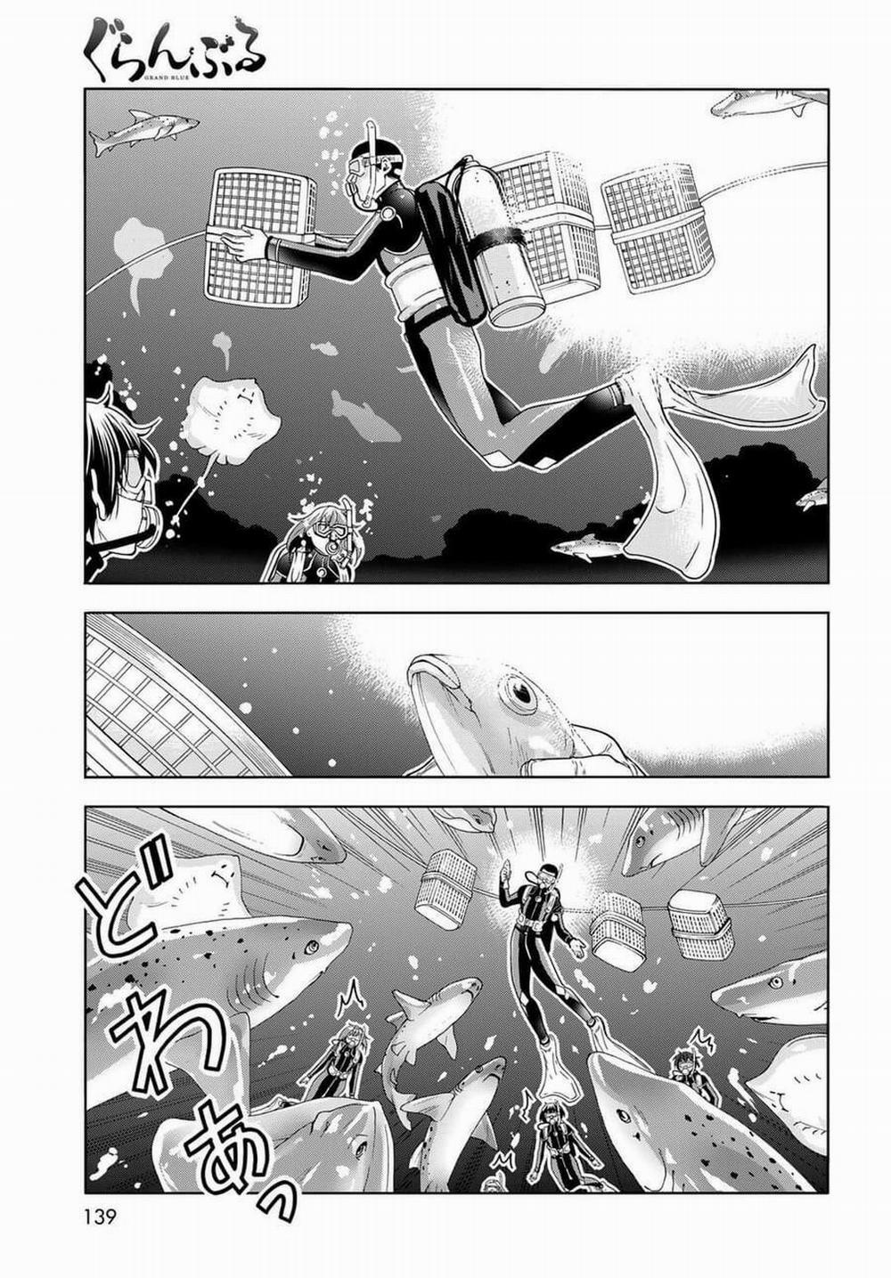 Grand Blue 81 trang 46