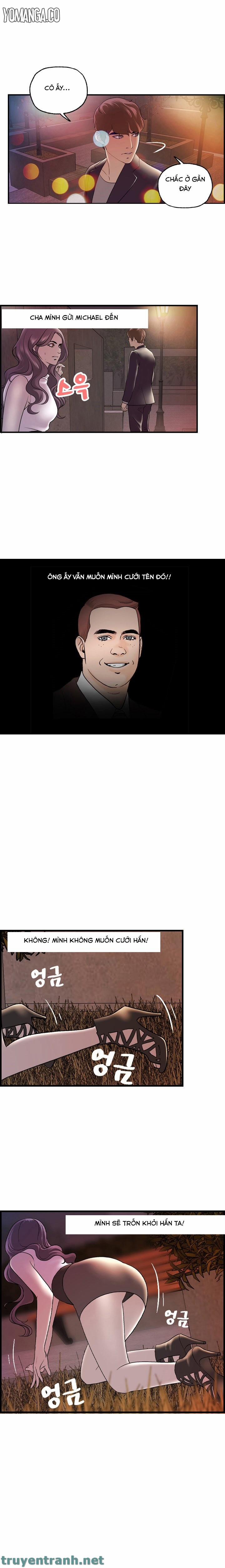 Guest House 16 trang 4