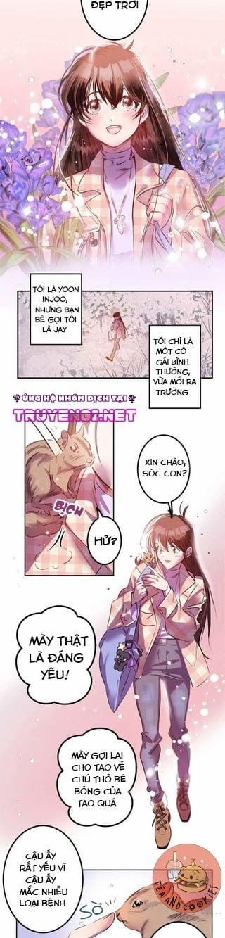 Gửi Chú Thỏ Hunny Của Tôi 1 trang 2