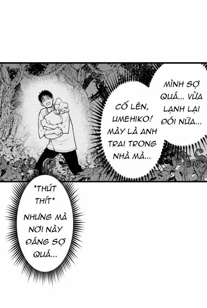 Gửi Em Gái Yêu Dấu, Anh Trai Em Trở Thành Thánh Nữ Mất Rồi 15.2 trang 7