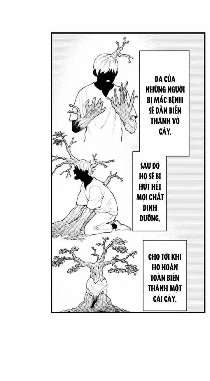 Gửi Em Gái Yêu Dấu, Anh Trai Em Trở Thành Thánh Nữ Mất Rồi 16.1 trang 7