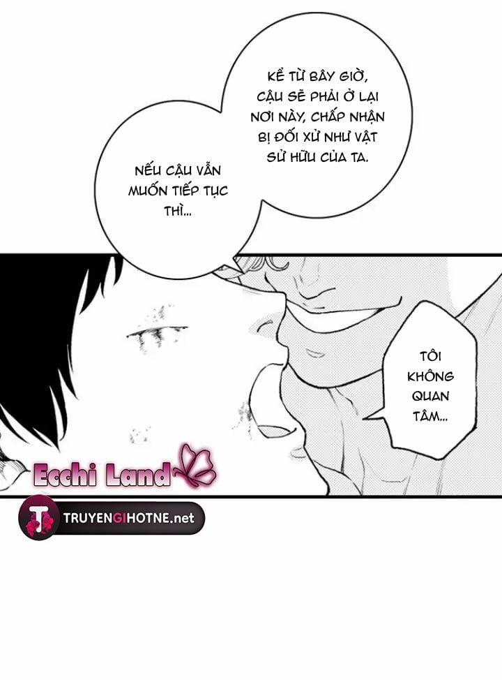 Gửi Em Gái Yêu Dấu, Anh Trai Em Trở Thành Thánh Nữ Mất Rồi 16.2 trang 13