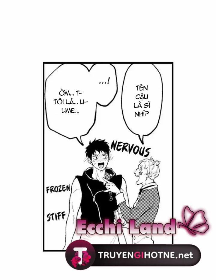 Gửi Em Gái Yêu Dấu, Anh Trai Em Trở Thành Thánh Nữ Mất Rồi 21.1 trang 9