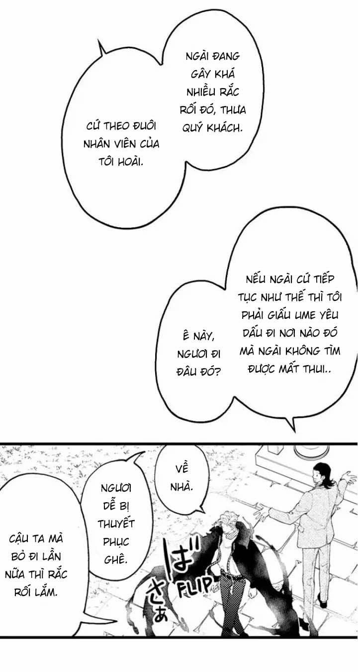 Gửi Em Gái Yêu Dấu, Anh Trai Em Trở Thành Thánh Nữ Mất Rồi 23.2 trang 5