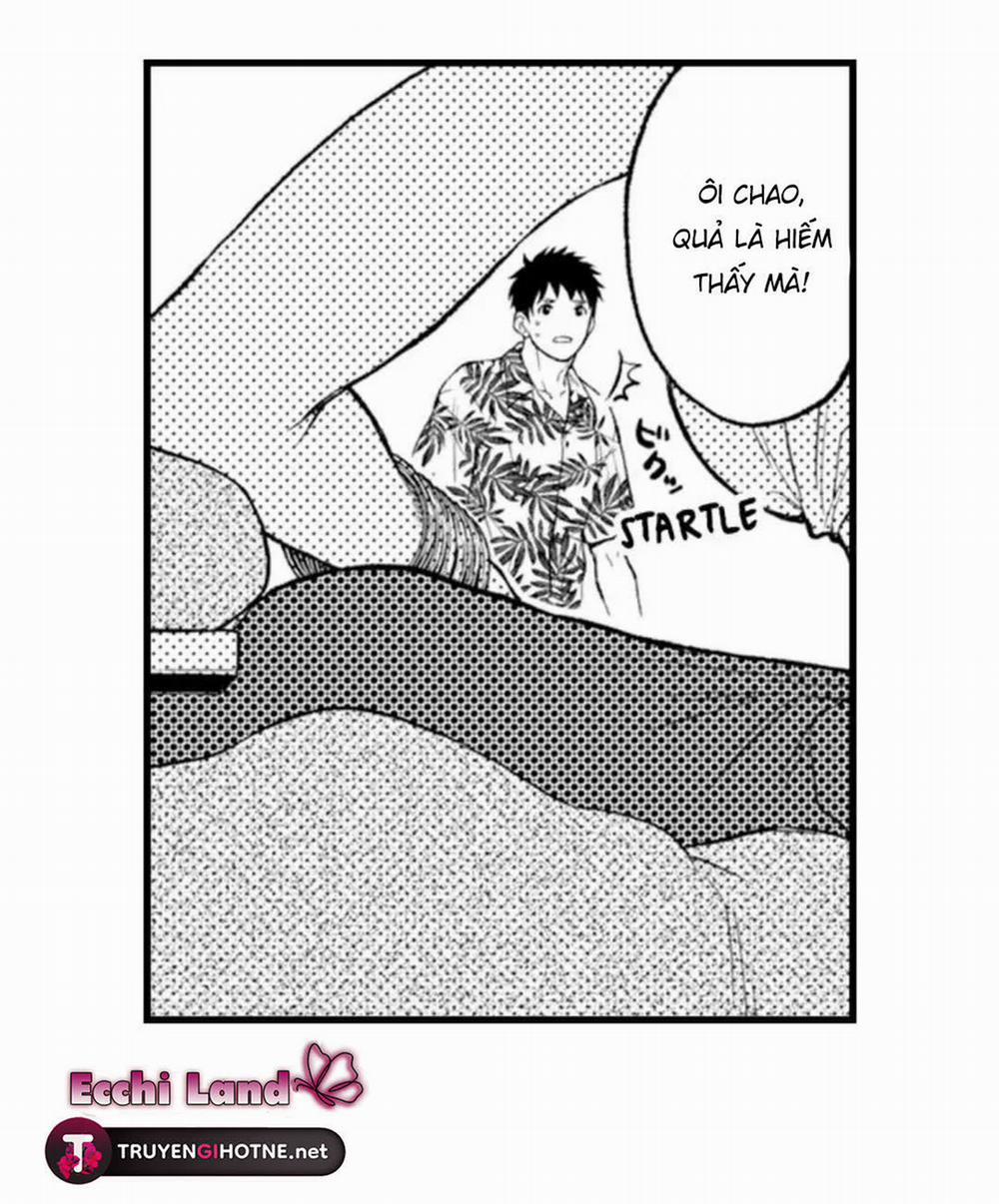 Gửi Em Gái Yêu Dấu, Anh Trai Em Trở Thành Thánh Nữ Mất Rồi 29.1 trang 14