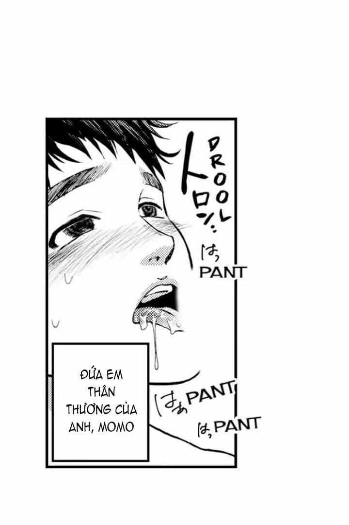 Gửi Em Gái Yêu Dấu, Anh Trai Em Trở Thành Thánh Nữ Mất Rồi 3.2 trang 13