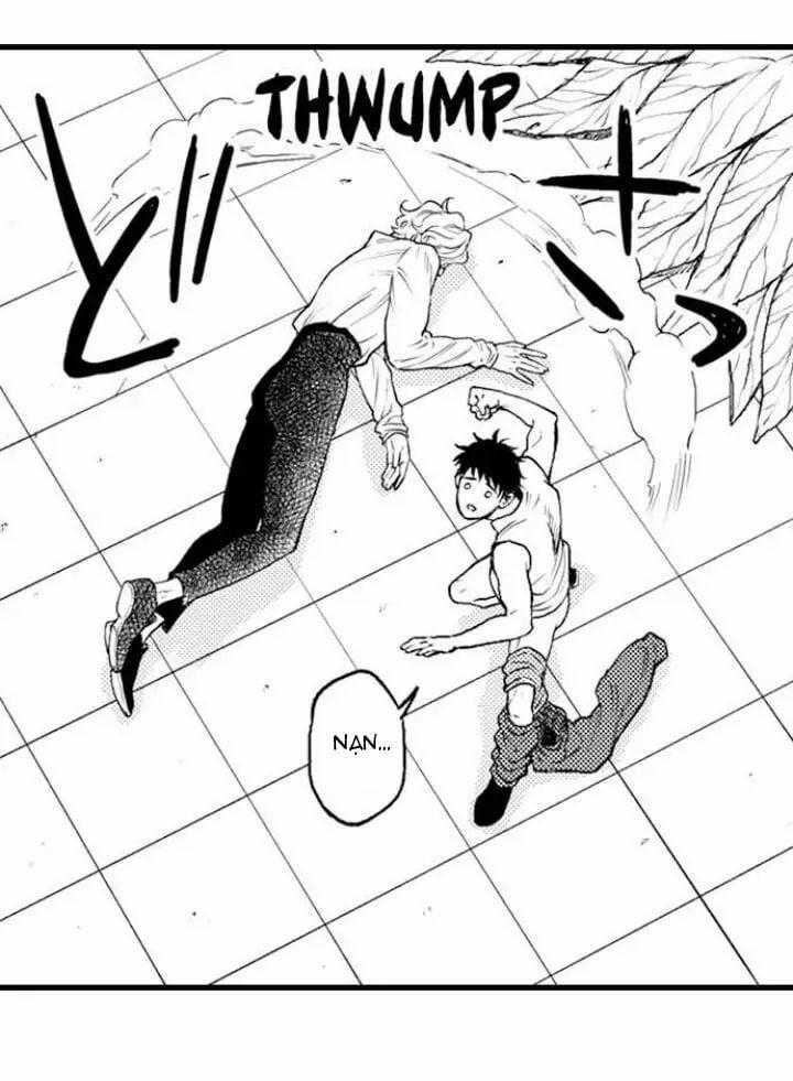 Gửi Em Gái Yêu Dấu, Anh Trai Em Trở Thành Thánh Nữ Mất Rồi 5.2 trang 3