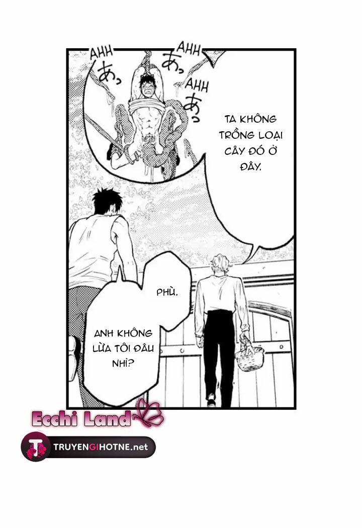 Gửi Em Gái Yêu Dấu, Anh Trai Em Trở Thành Thánh Nữ Mất Rồi 6.1 trang 11