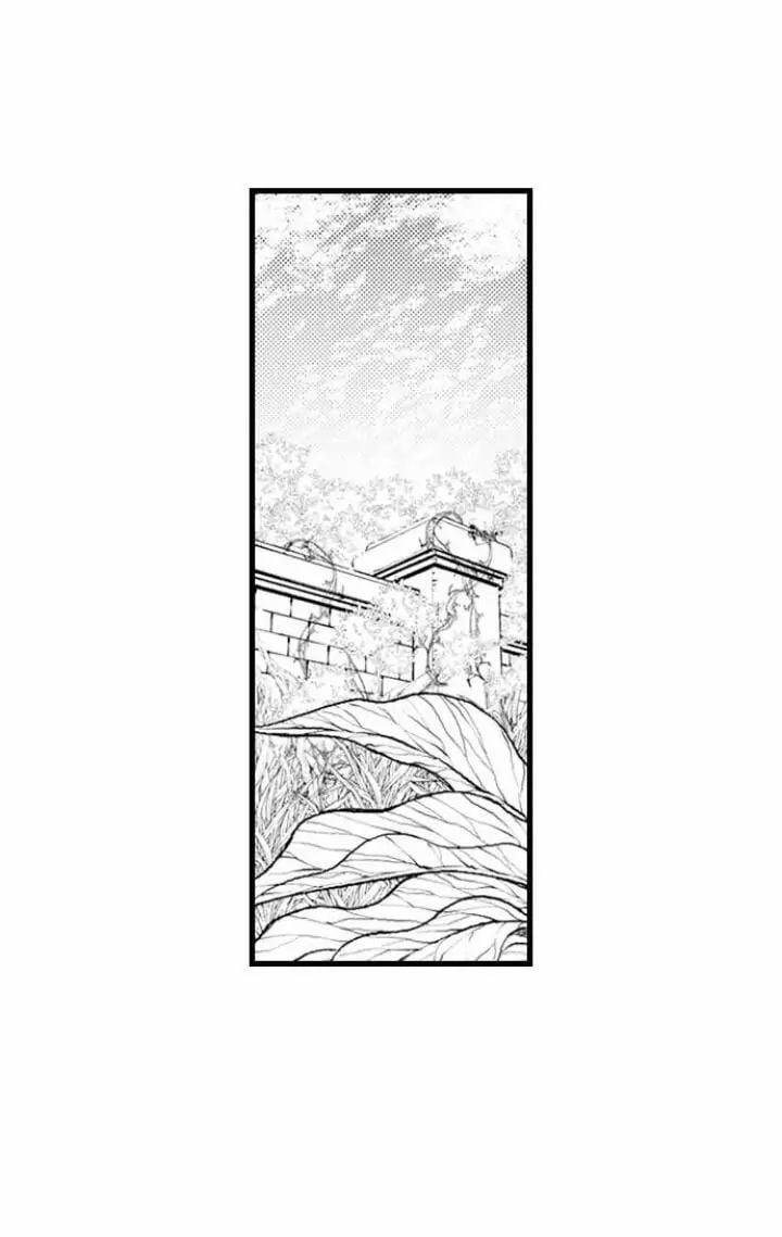 Gửi Em Gái Yêu Dấu, Anh Trai Em Trở Thành Thánh Nữ Mất Rồi 6.1 trang 9