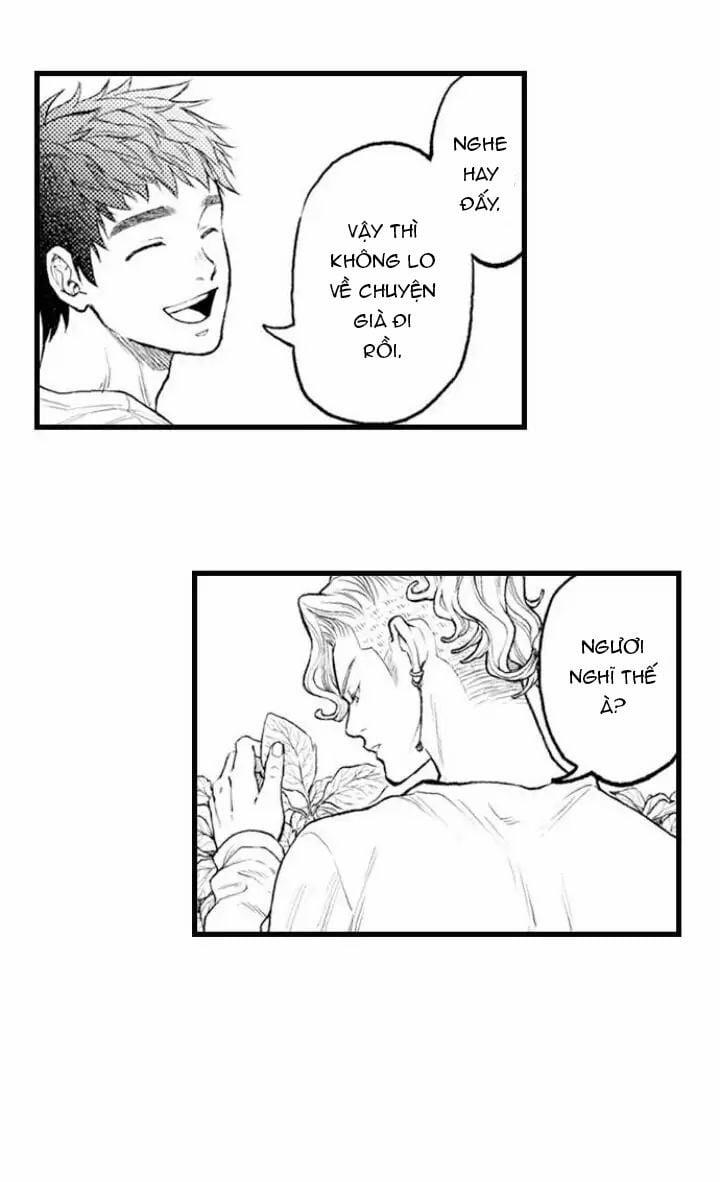 Gửi Em Gái Yêu Dấu, Anh Trai Em Trở Thành Thánh Nữ Mất Rồi 6.2 trang 2