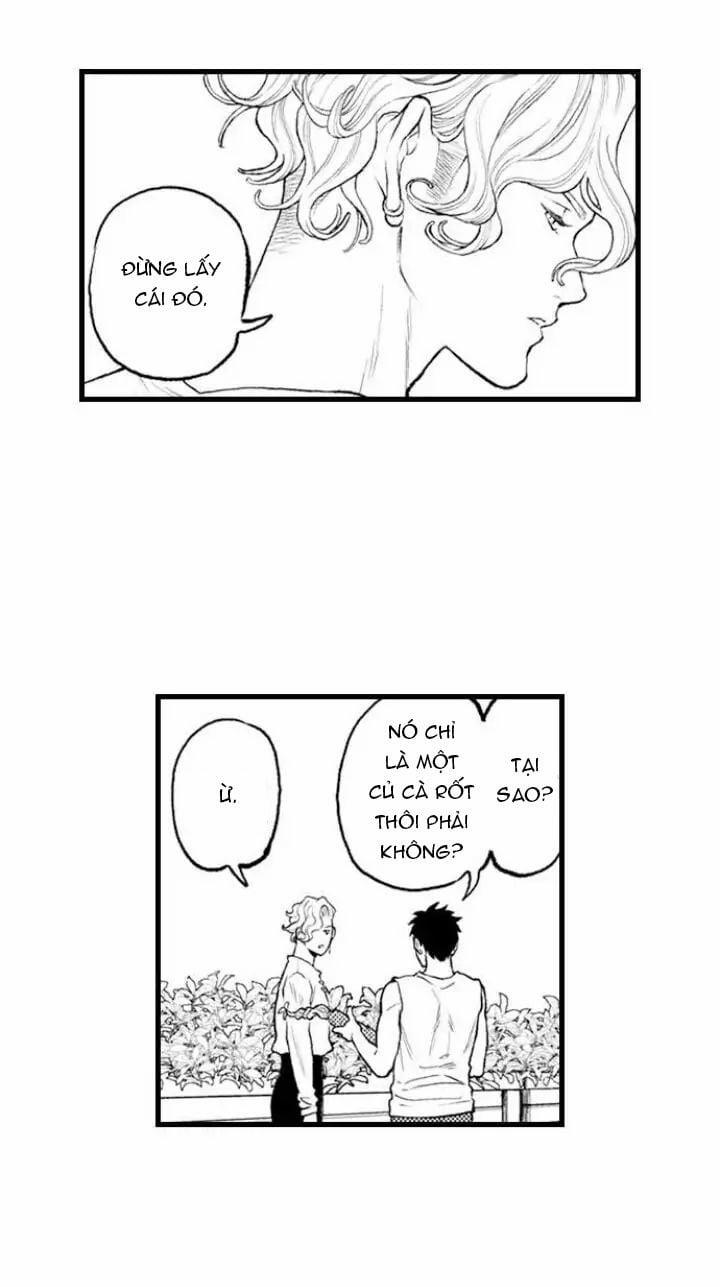 Gửi Em Gái Yêu Dấu, Anh Trai Em Trở Thành Thánh Nữ Mất Rồi 6.2 trang 4