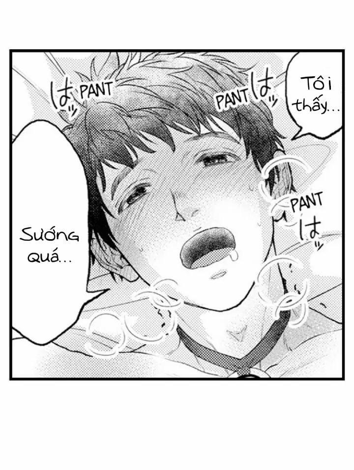 Gửi Em Gái Yêu Dấu, Anh Trai Em Trở Thành Thánh Nữ Mất Rồi 9.2 trang 3