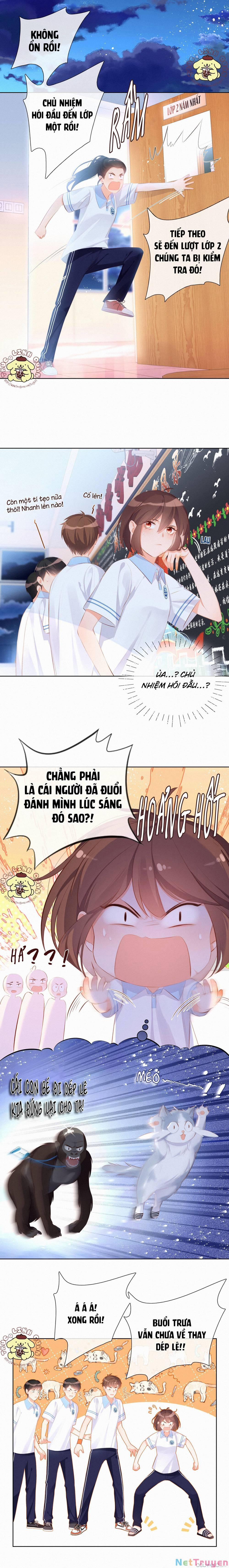 Gửi Em, Người Đặc Biệt 8 trang 1